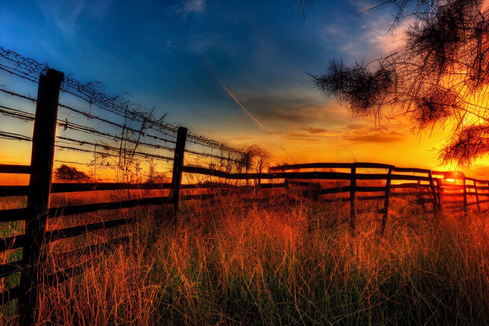 Colorful sunset sky behind rustic barbed wire fence and gate in tall grass