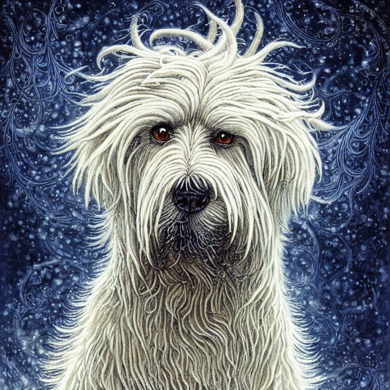 White Dog with Long, Curly Fur and Amber Eyes on Blue Starry Background