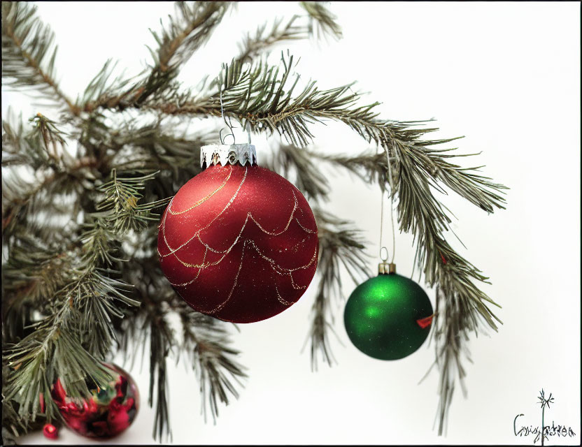 Red and Gold Christmas Ornament on Evergreen Branch