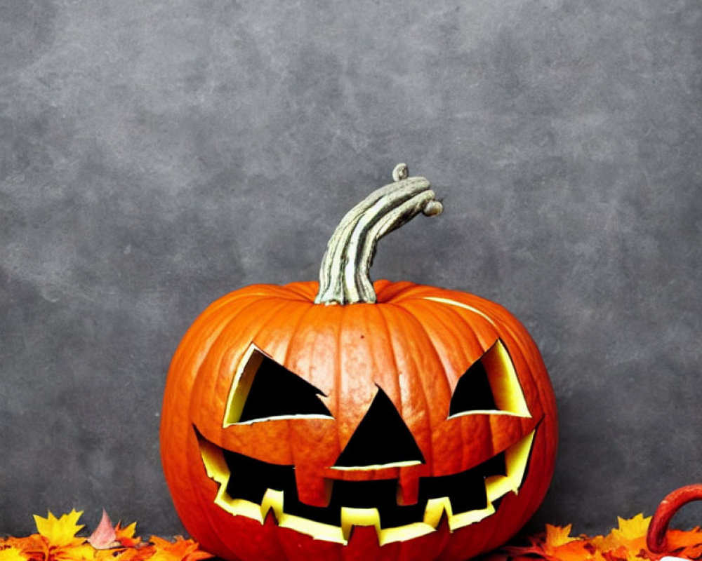 Menacing smile carved jack-o'-lantern surrounded by autumn leaves