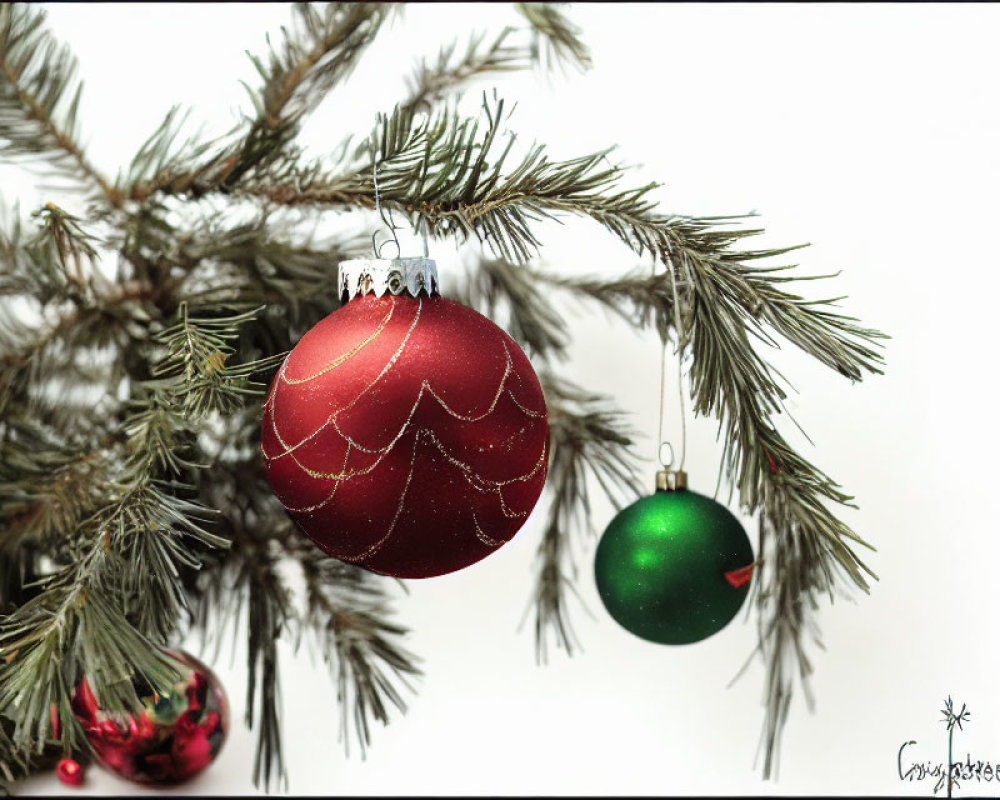 Red and Gold Christmas Ornament on Evergreen Branch