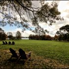 Vibrant Trees and Serene Field in Autumn Park Scene