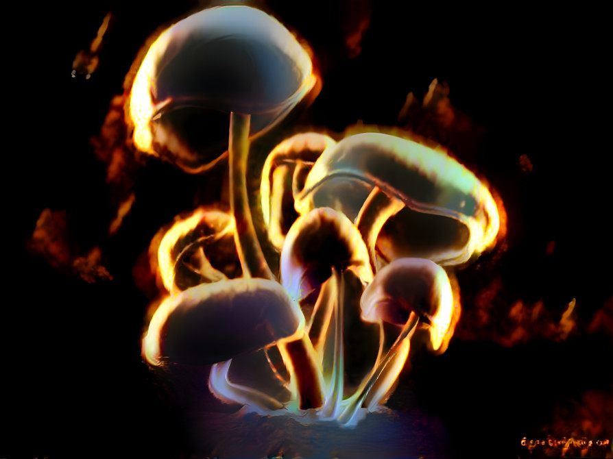 Flaming mushrooms (Fluorescence-DigitalBlasphemy)