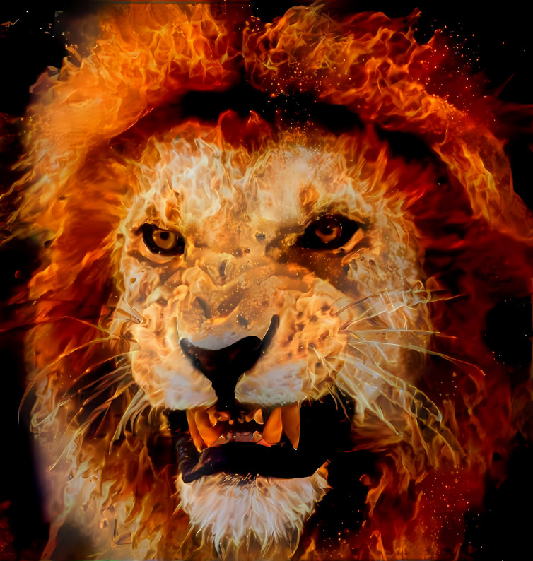 Fire lion