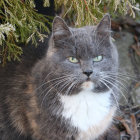 Realistic digital painting: Tabby cat with vibrant green leaves background