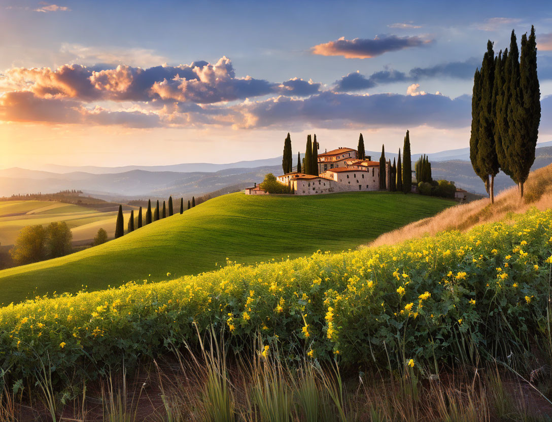 Tuscan sunset landscape with traditional villa, cypress trees, and yellow flowers