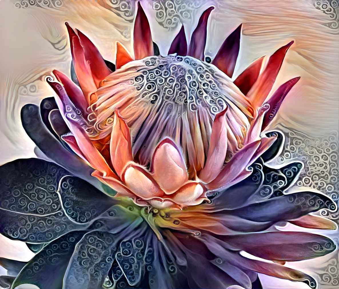 protea