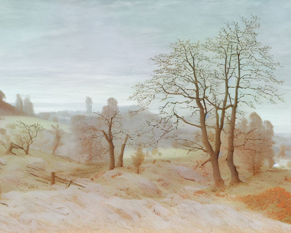 Tranquil winter landscape: bare trees, frost-covered ground, pale sky