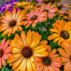 Colorful digital artwork featuring assorted flowers in orange, pink, and purple hues with a green foliage backdrop