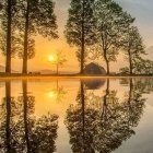 Tranquil sunset scene: lake, tall trees, colorful foliage, birds.