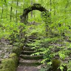 Golden gate leads to vibrant fantastical garden with lush flora and whimsical trees