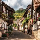 Traditional half-timbered houses on picturesque village street