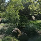 Colorful digital garden with manicured bushes and round stepping stones in a peaceful landscape