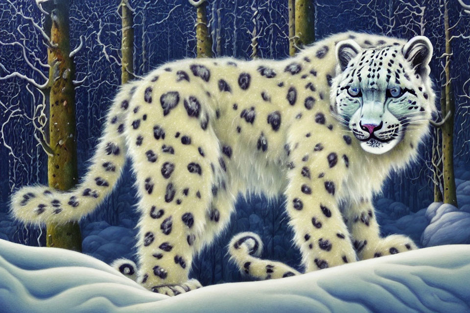 White snow leopard with blue eyes in snowy landscape with barren trees