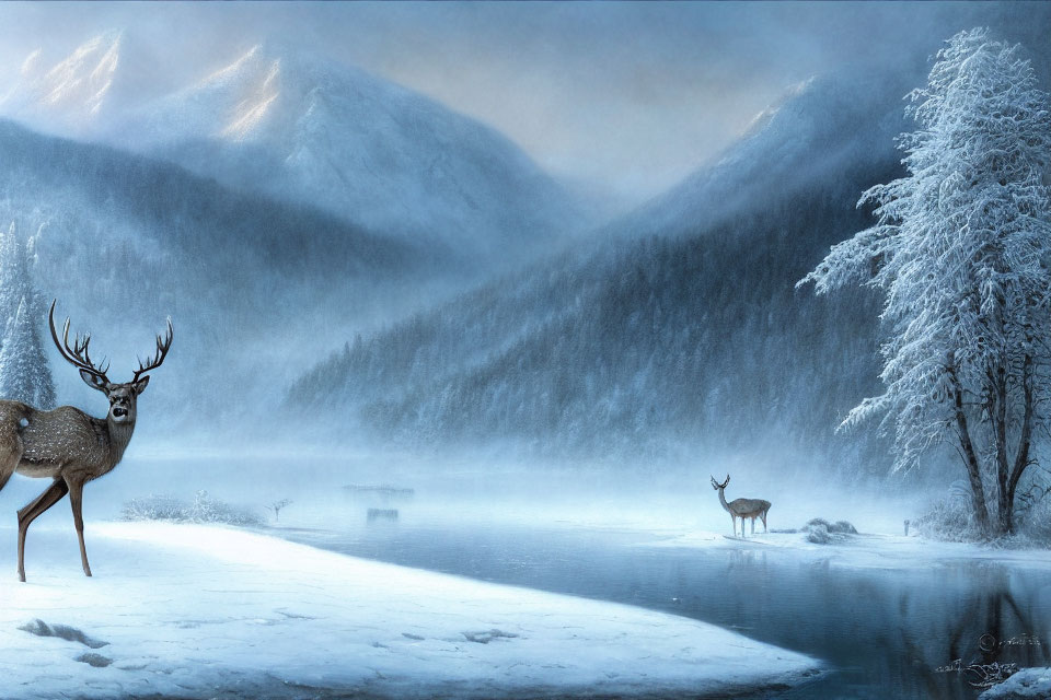 Winter scene: Two deer by misty lake, snow-covered trees & mountains