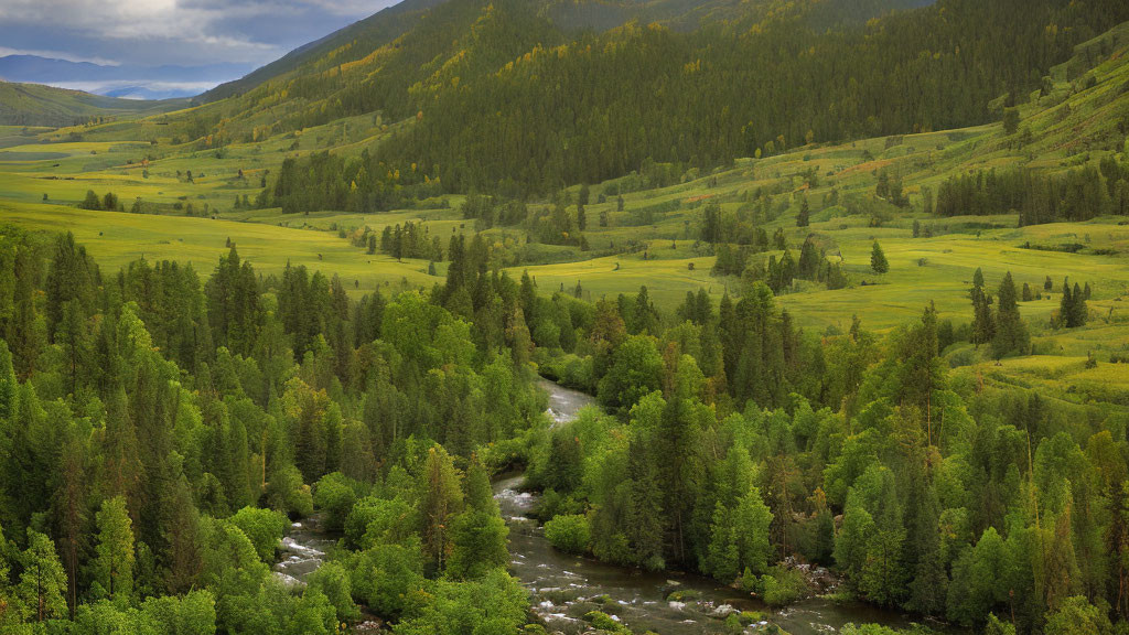 MOUNTAINS,LAND,TREES