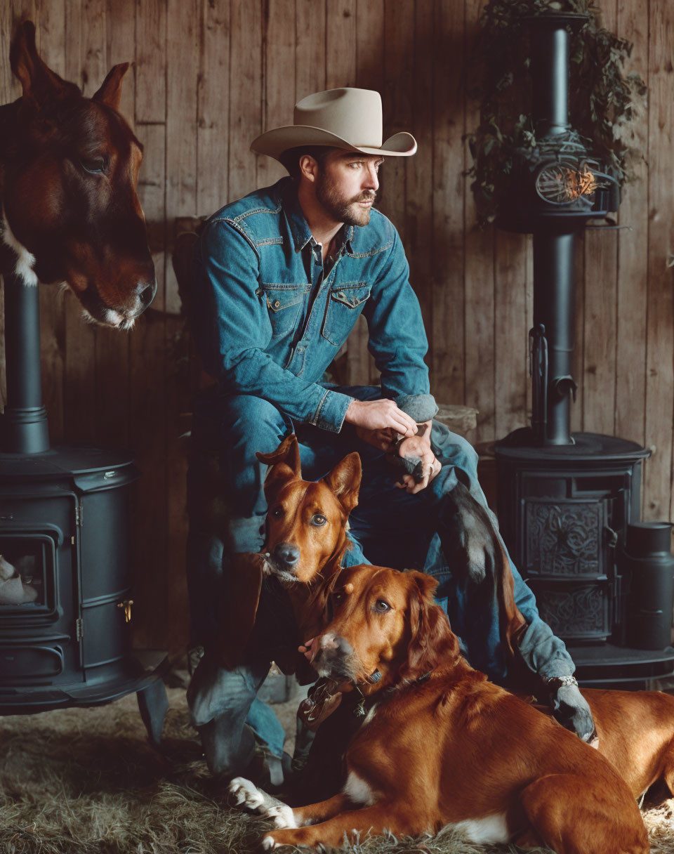 Cowboy in denim jacket with dogs and horse by wood stove