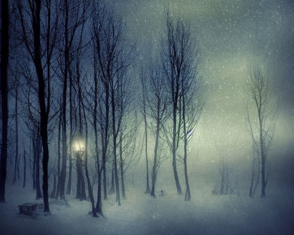 Snowy scene with bare trees illuminated by a solitary lamp post