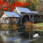 Rustic wooden mill by calm lake with swans in misty autumn landscape