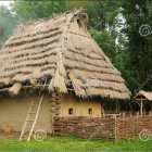 Thatched-Roof Cottage in Forest Clearing with Stone Wall