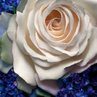 Colorful digitally-enhanced rose on blue petal background