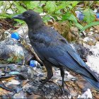 Stylized crow on colorful garbage pile with painted texture effect