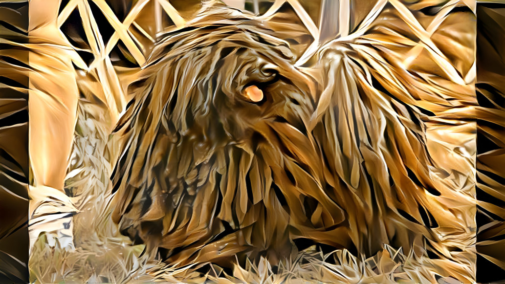 Straw Dog