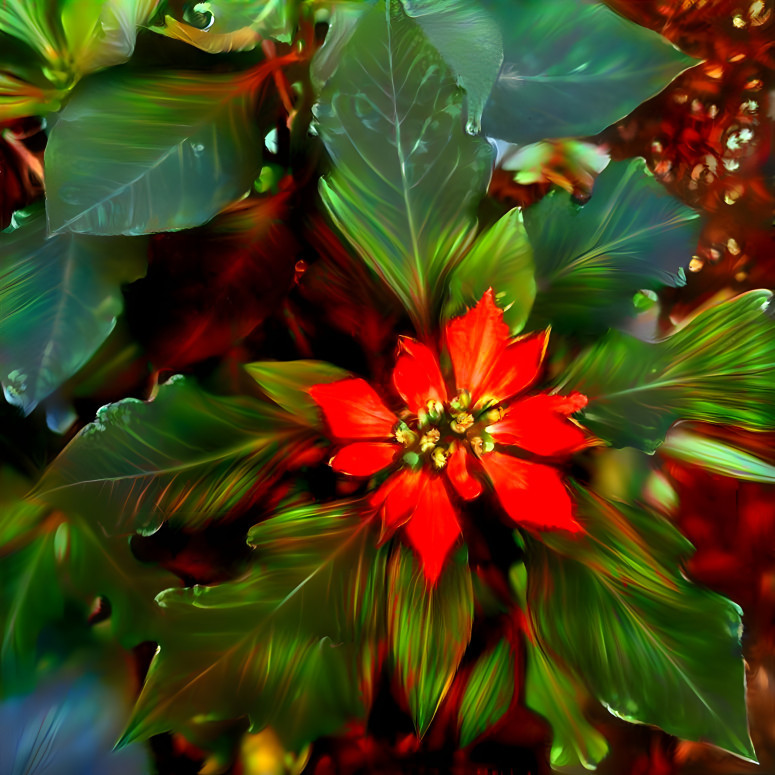 Pasticine Poinsettia