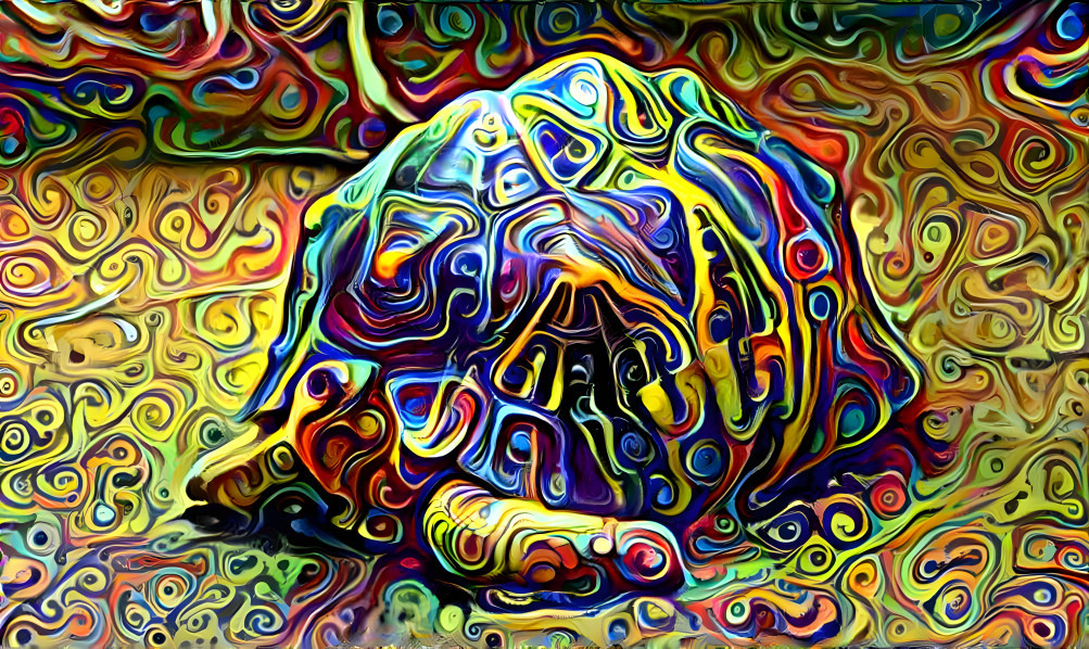 Painted Terrapin