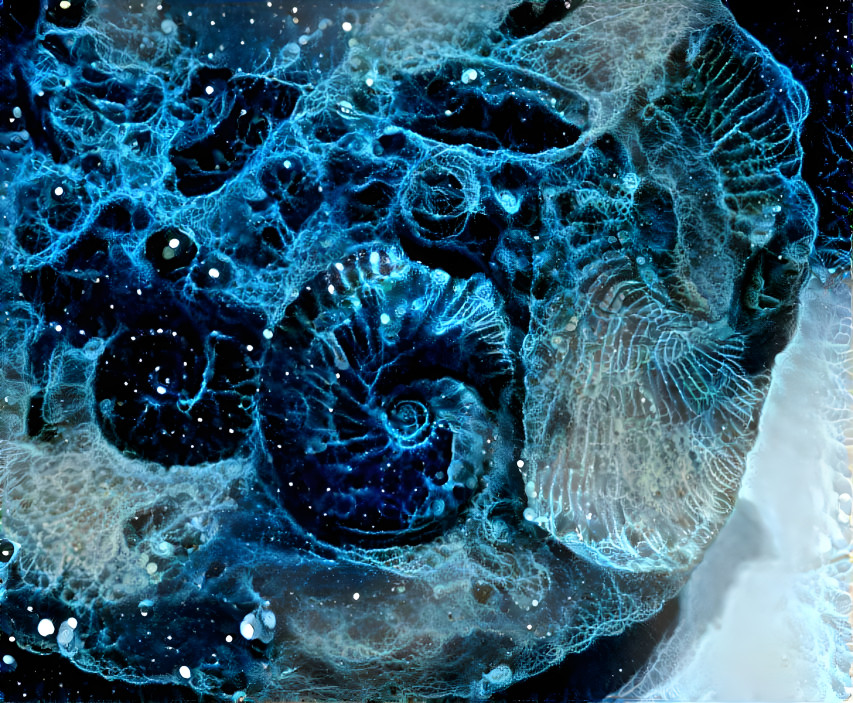 The Ammonite Nebula