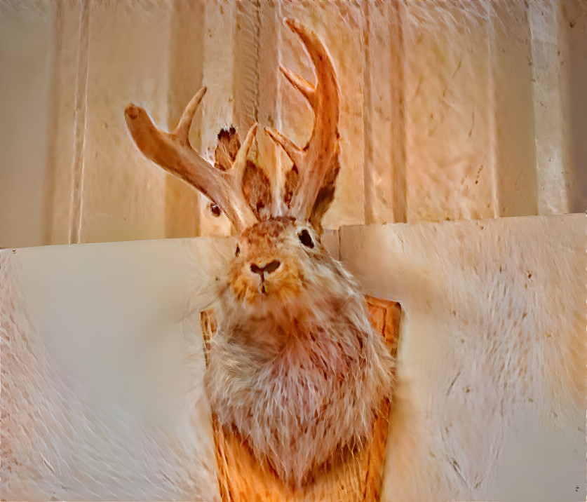 Jackalope