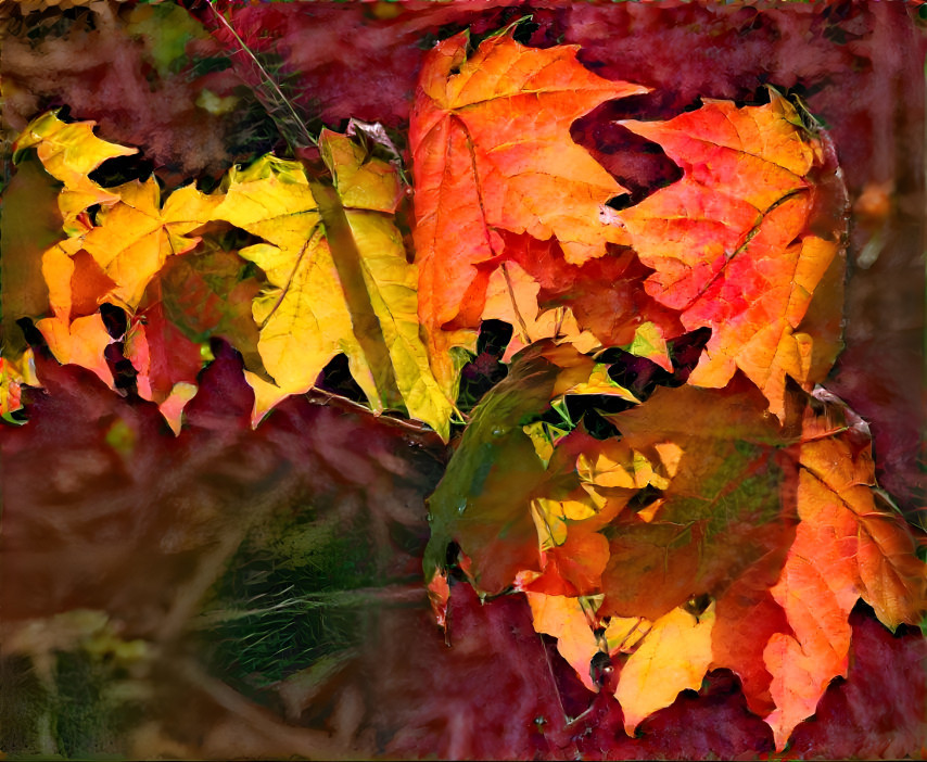 Whirlwind Of Leaves