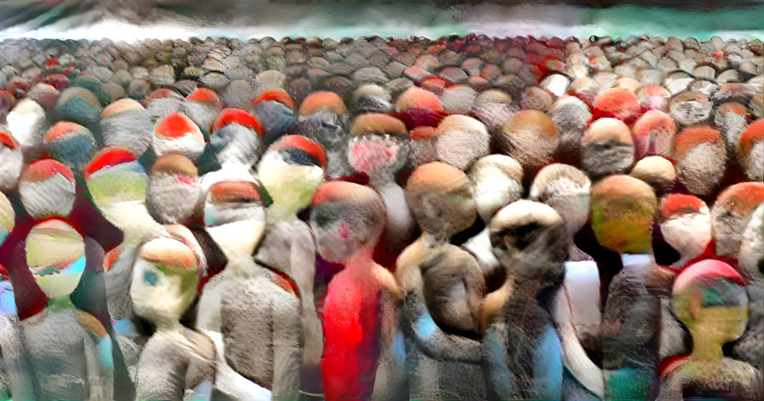 Sock Monkey Mass