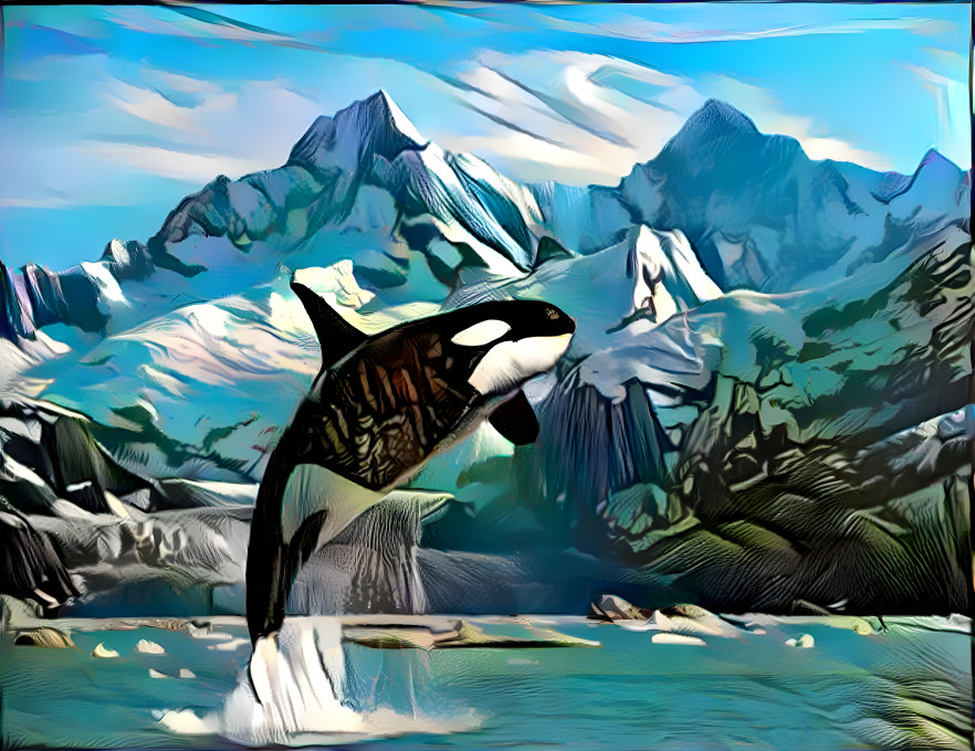 Orca Peeks