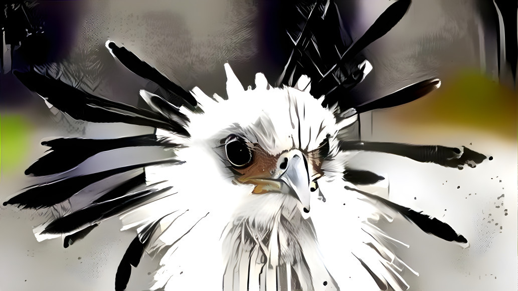 Secretary Bird