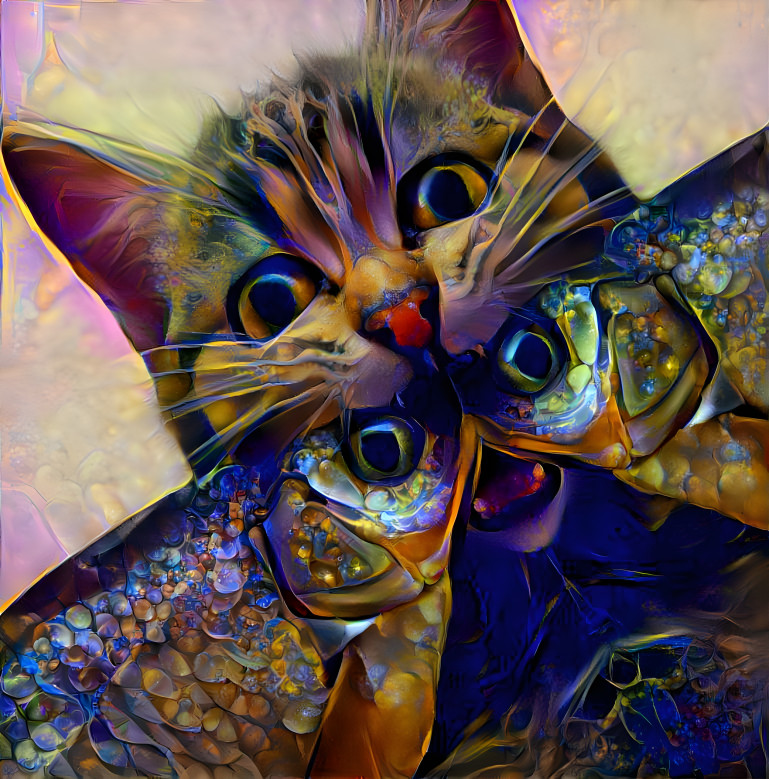 Cat Fish