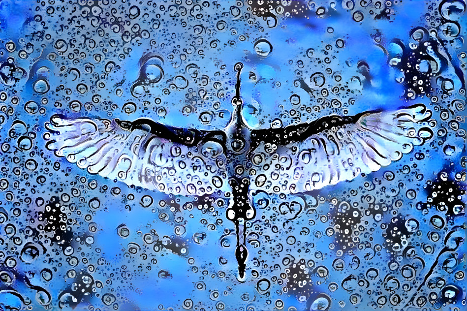 Rainswept Flight