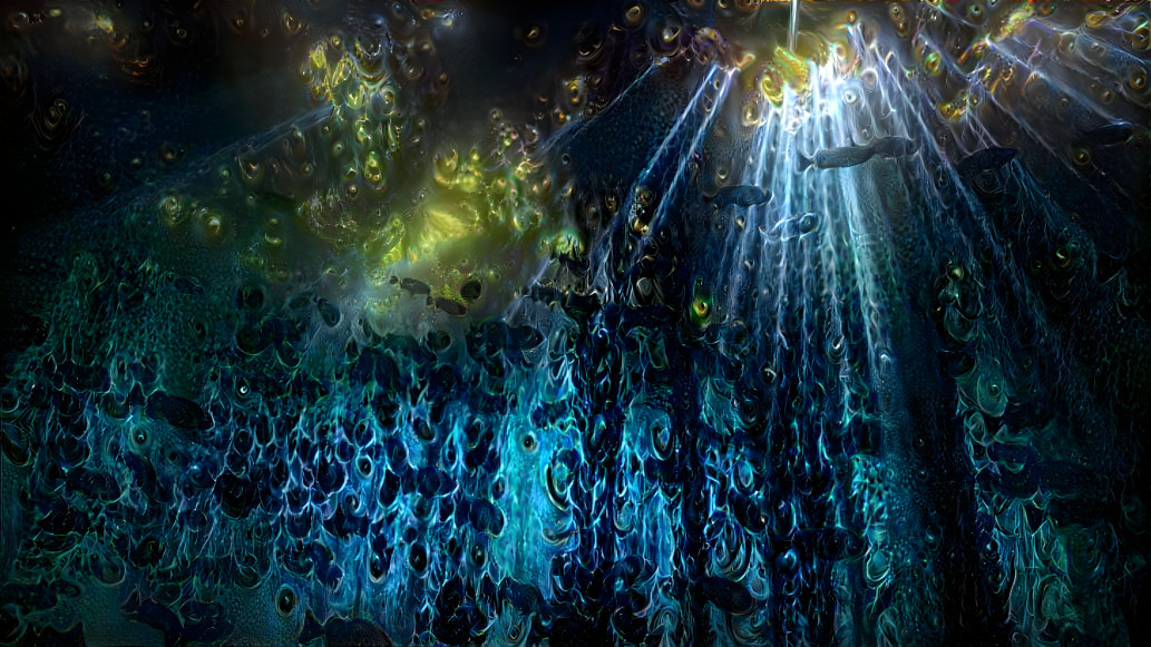 Kelp Forest Rays