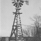 Rustic windmill and leafless tree in monochrome landscape