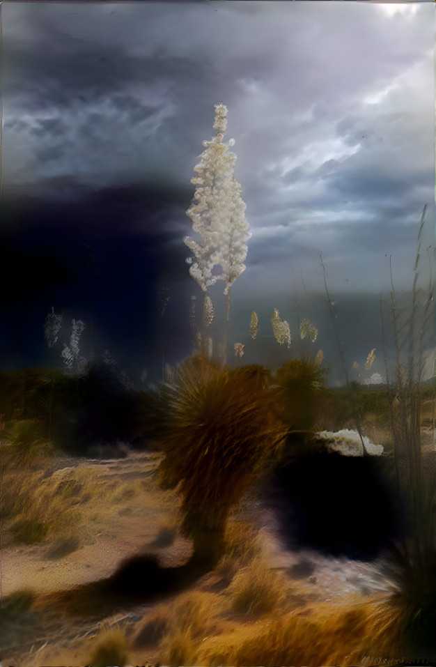 Storm On Yucca Flats