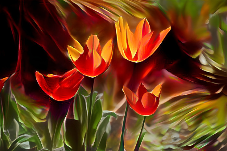 Tulpen