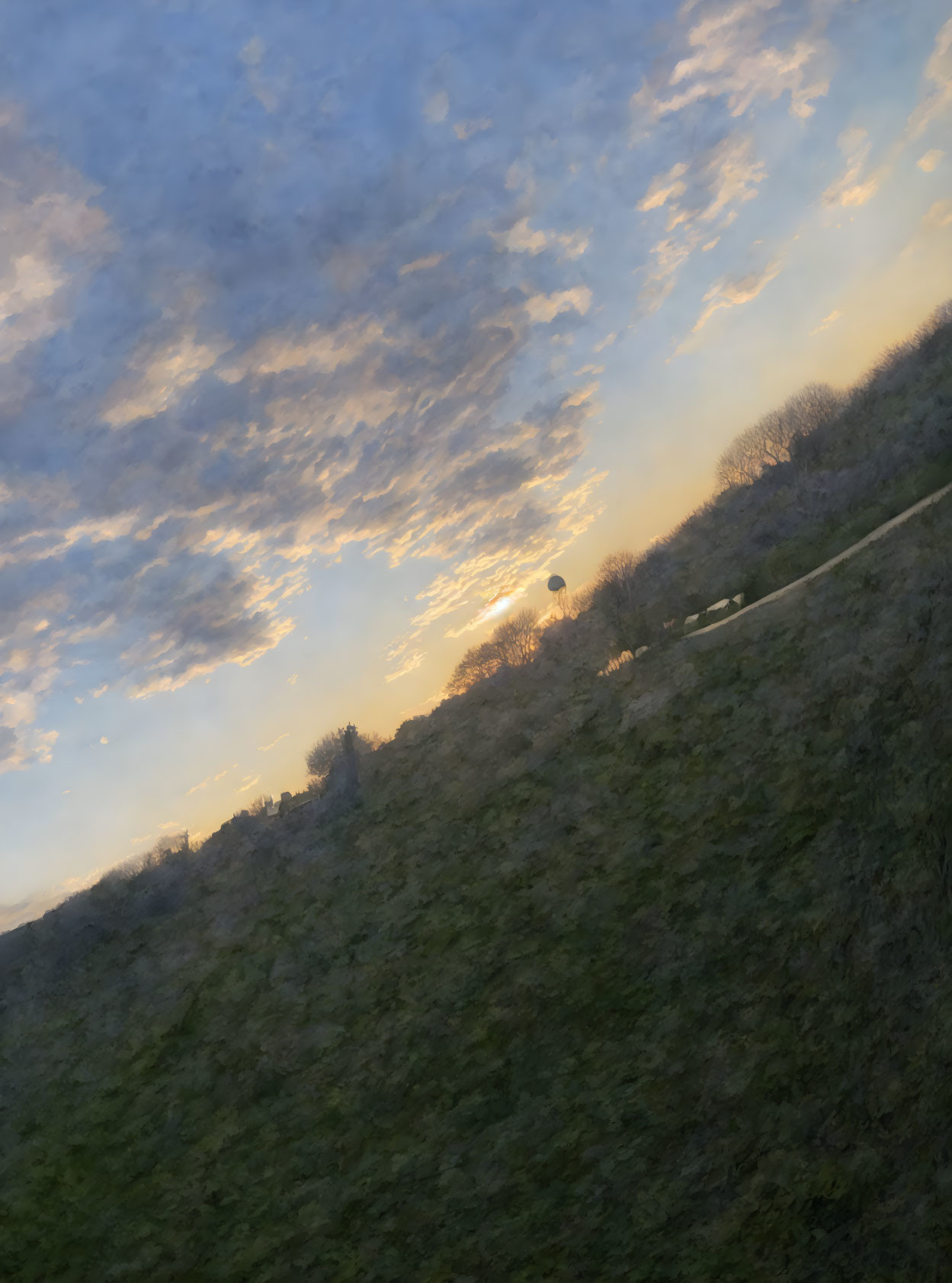 Scenic sunset with speckled sky and sun above dark treeline