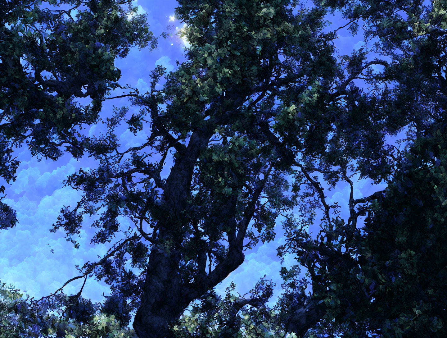 Digital image of dense foliage tree under starry twilight sky