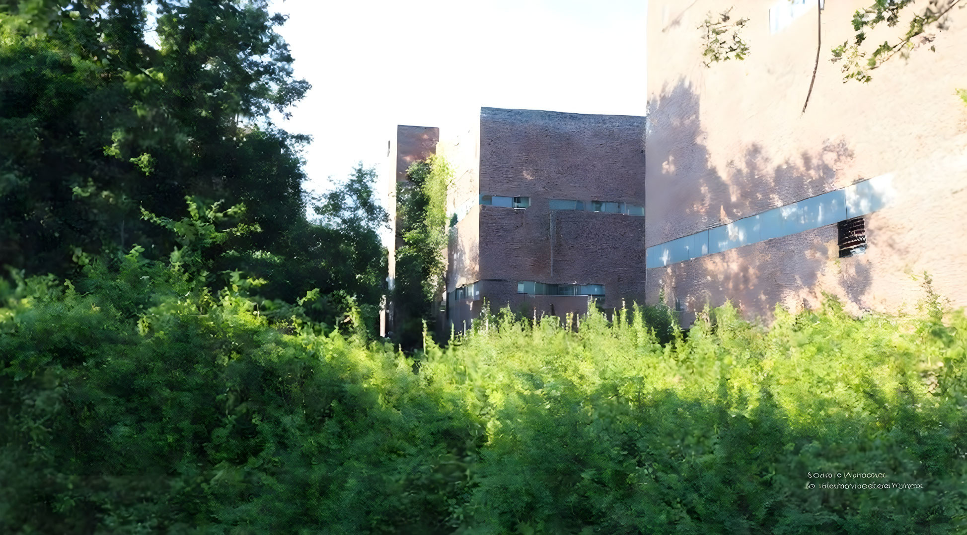 Geometric brick building obscured by lush green foliage