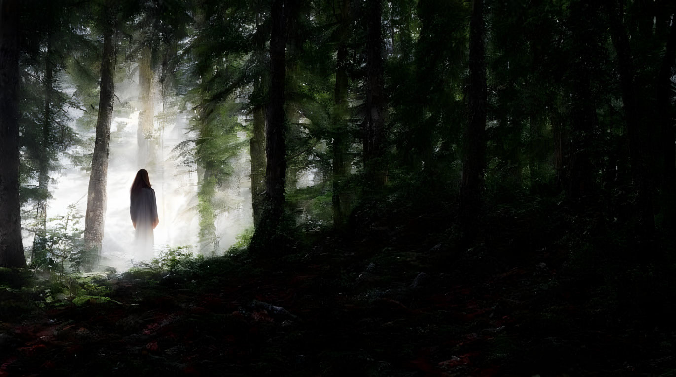 Silhouette of person in misty forest with light beams