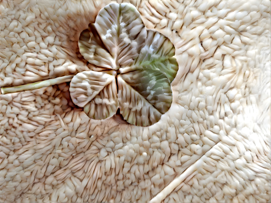 4 leaf clover