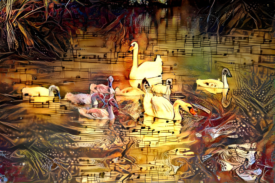 swans