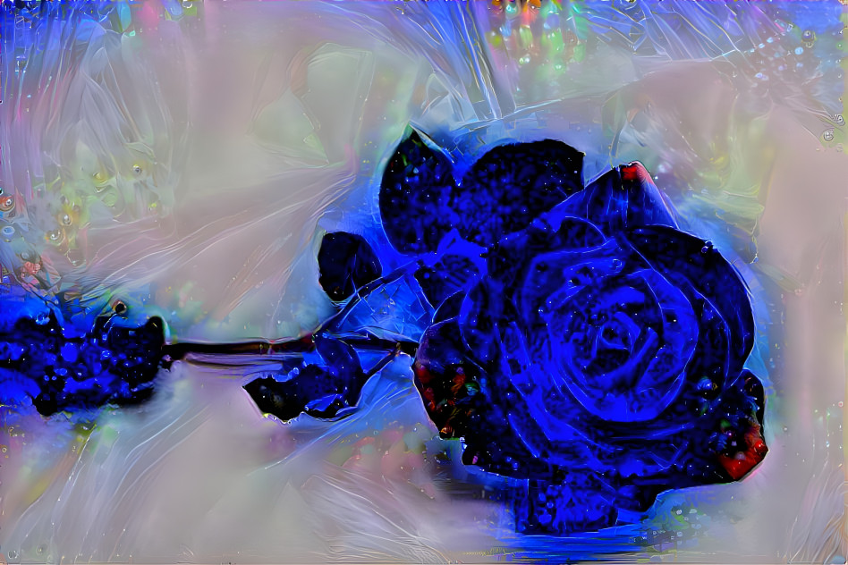 deep dream rose