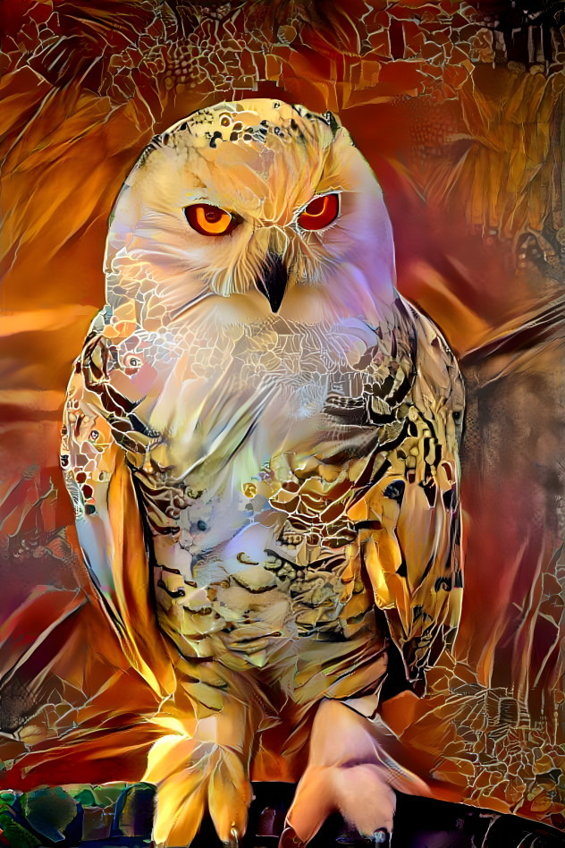 owl