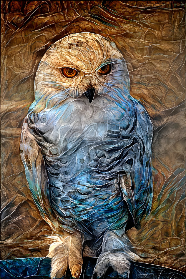 owl